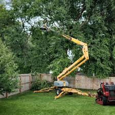 Best Tree Mulching  in Vardaman, MS